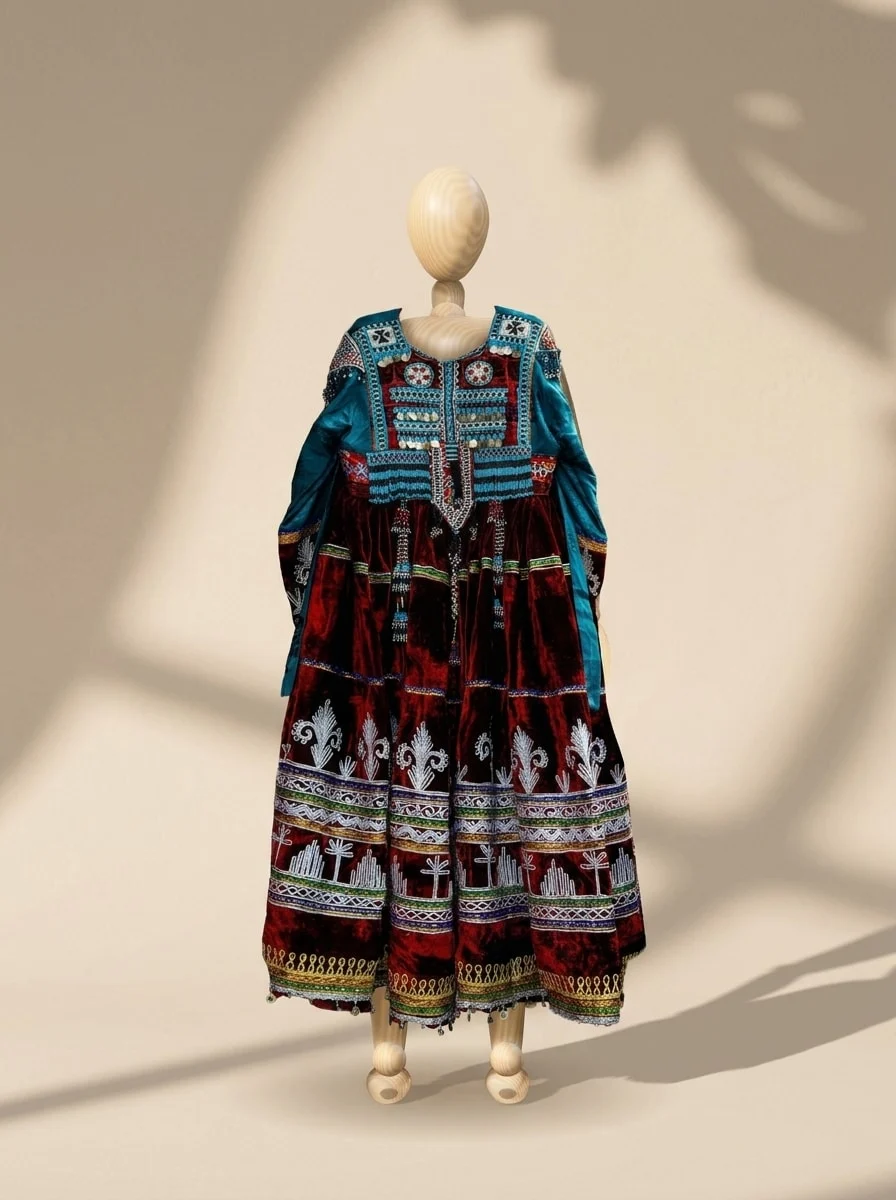 Embroidered velvet dress